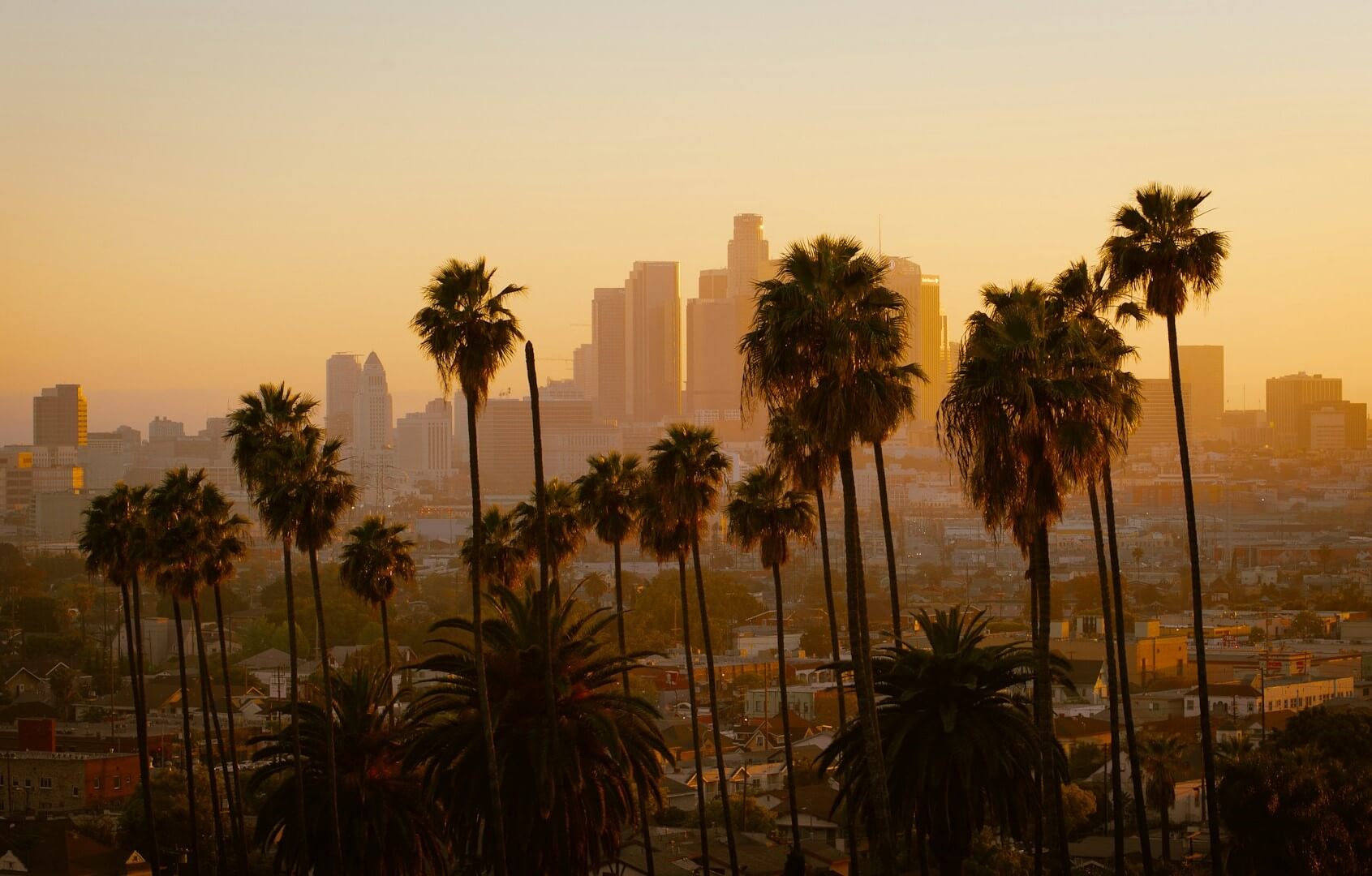 Dance Studios Los Angeles - Palm Trees with city skyline in rear